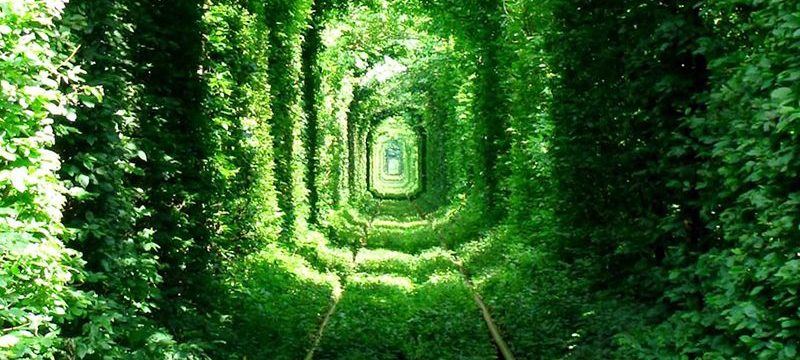 Tunnel Of Love
