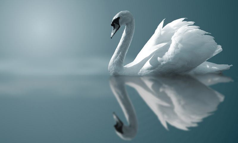 Dare to Think for Yourself - Socrates