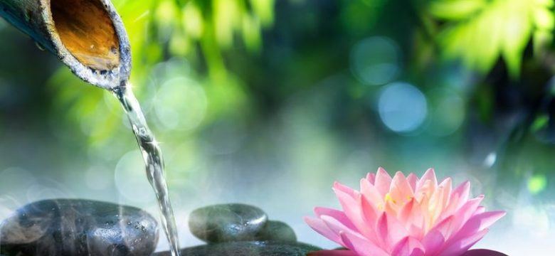 Virtues for Awakening