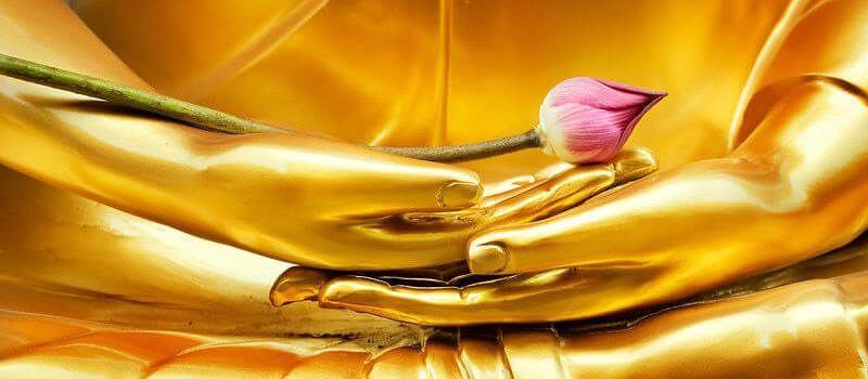 Meditate like the Buddha