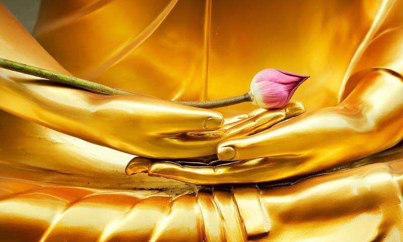 Meditate like the Buddha