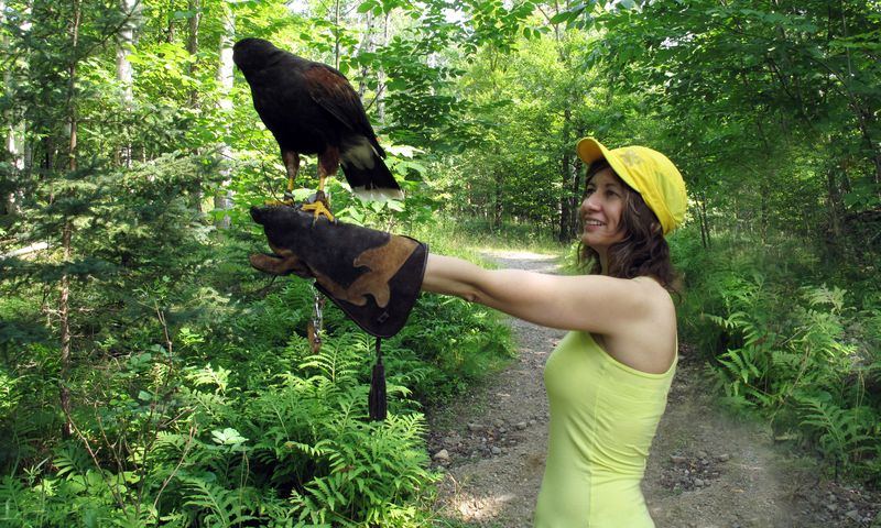 Compassion for Animals