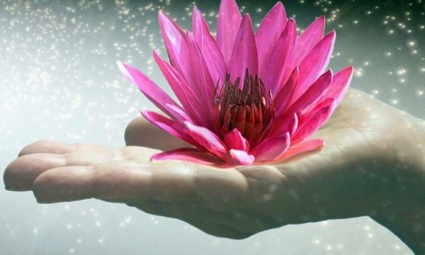 Energy transfer with the Hands