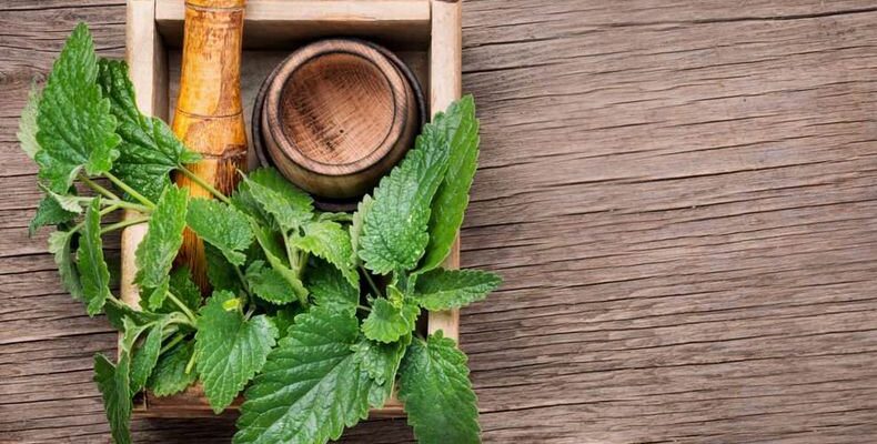 About DivineYu Academy