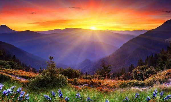 reiki_level_6_and_7_montreal_1