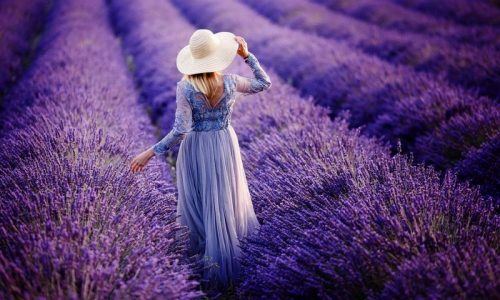 testimonials_lavander_fields