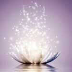 First Degree Usui Reiki Seminar - DivineYu Academy