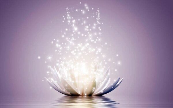 First Degree Usui Reiki Seminar - DivineYu Academy