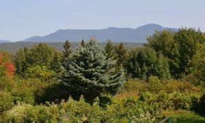 divineyu_retreat_eastern_townships 5