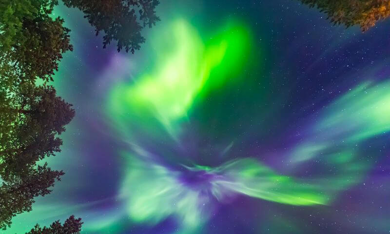 Free Holy Fire Reiki Healing and Manifestation