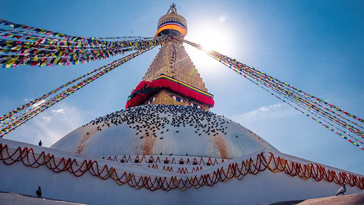 Wisdom Dakini Meditations _ DivineYu Academy